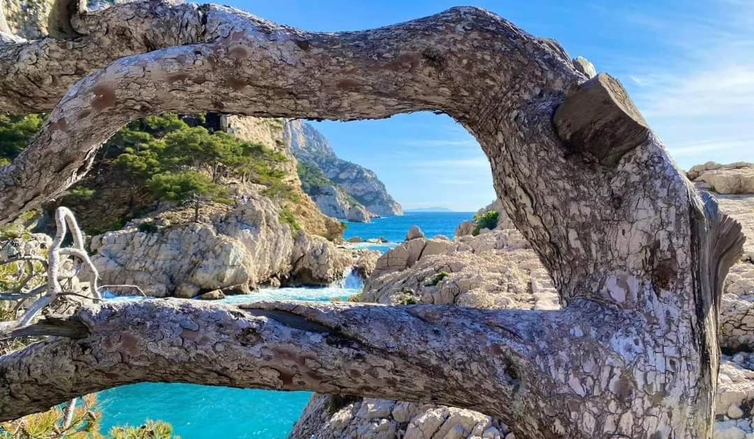 Mon petit Paradis, Cassis centre Apt 90 m2, 200 m Mer, terr plein sud, clim park privé Extérieur photo